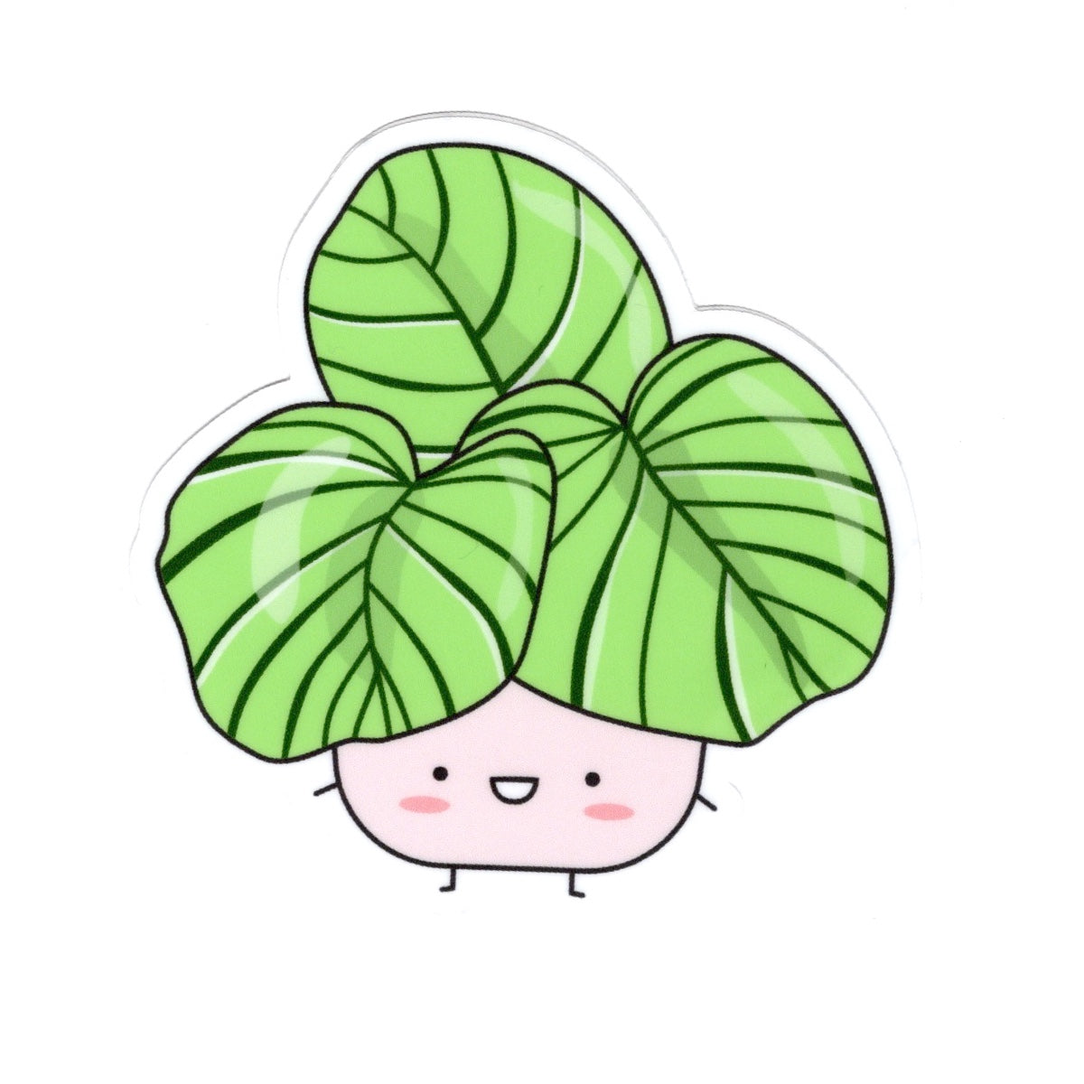 Calathea orbifolia Vinyl Die Cut Sticker