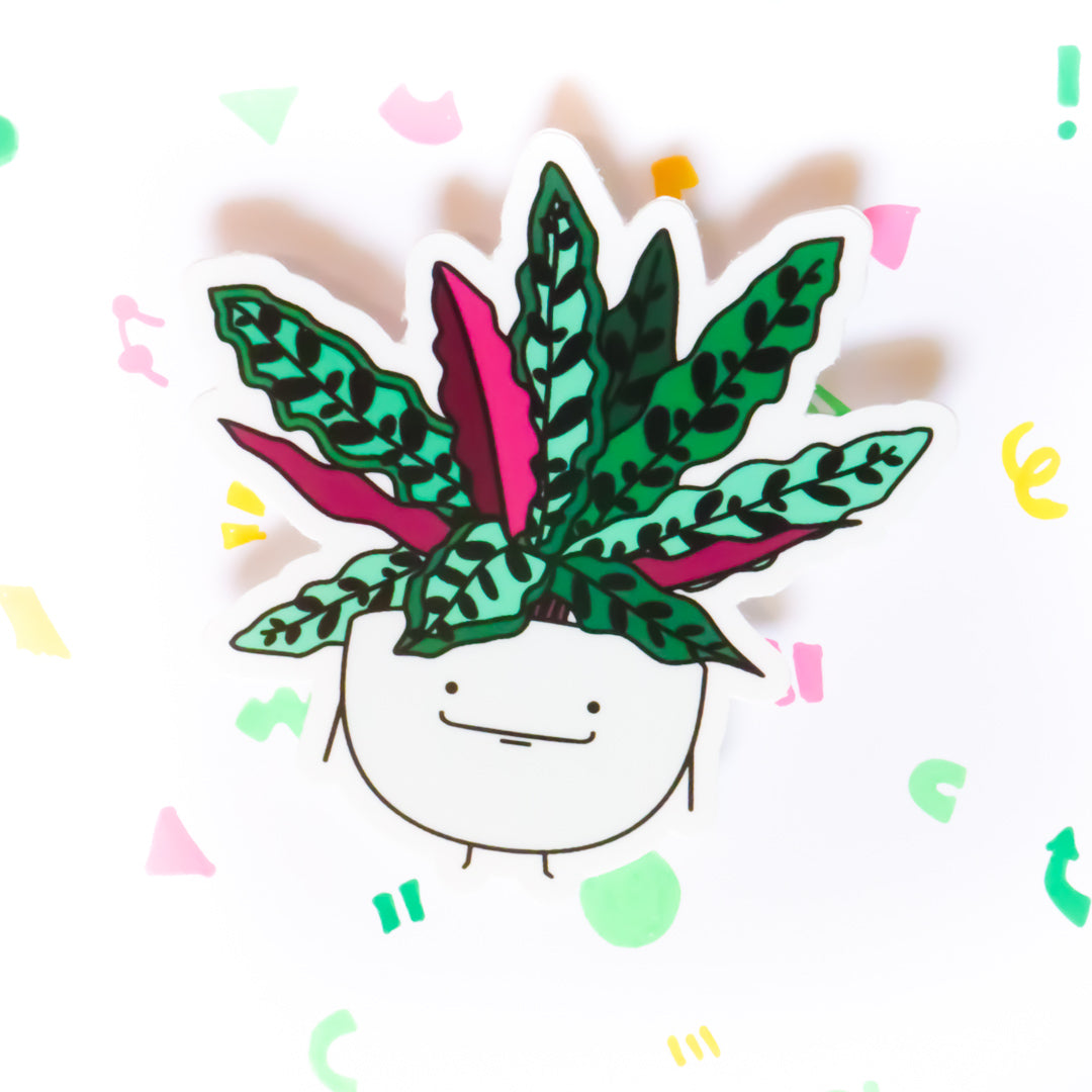 Calathea Rattlesnake Vinyl Die Cut Sticker