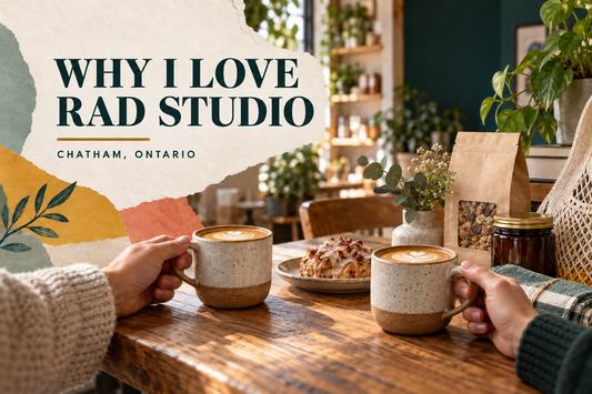 Why I Love Rad Studio