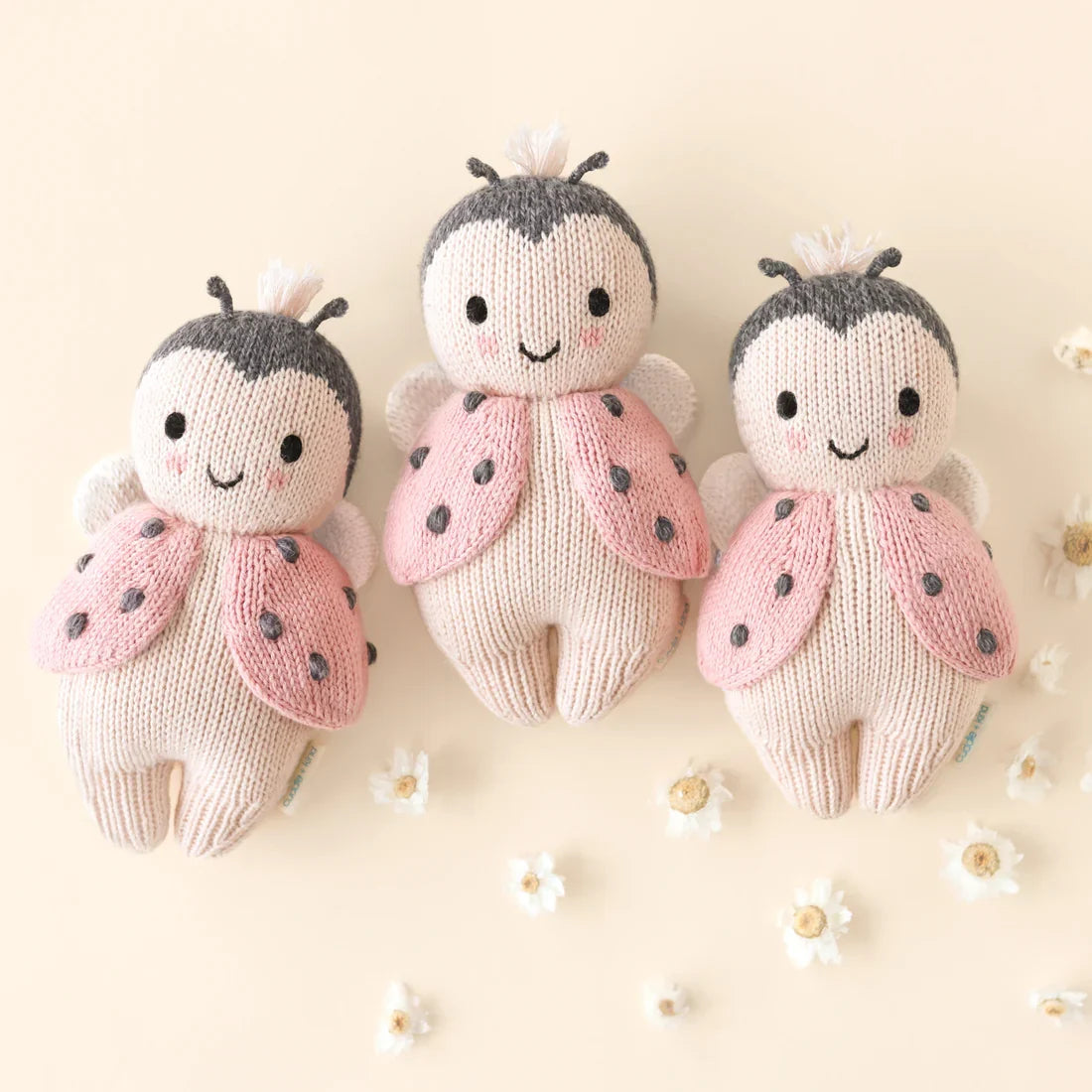 Baby Ladybug | Cuddle & Kind