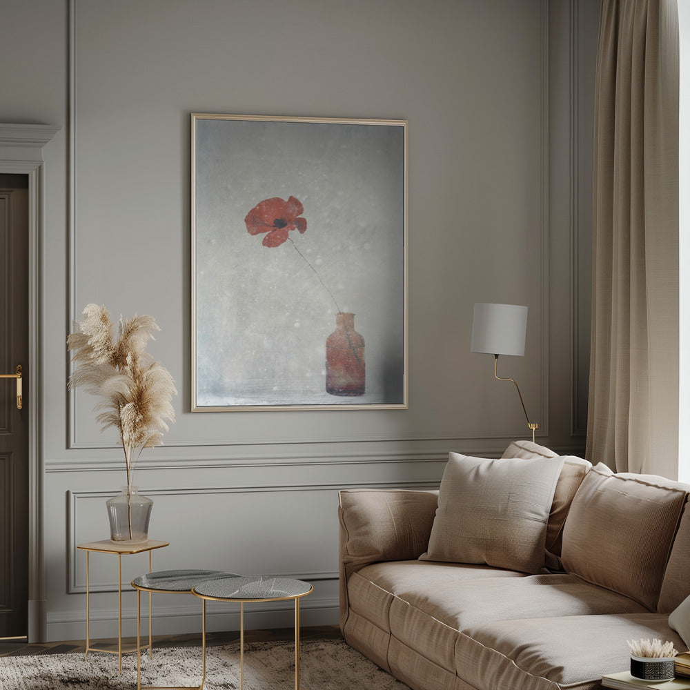wall art Winter Poppy