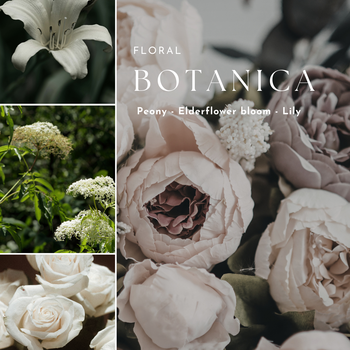 Fresh & Floral  Candle Collection