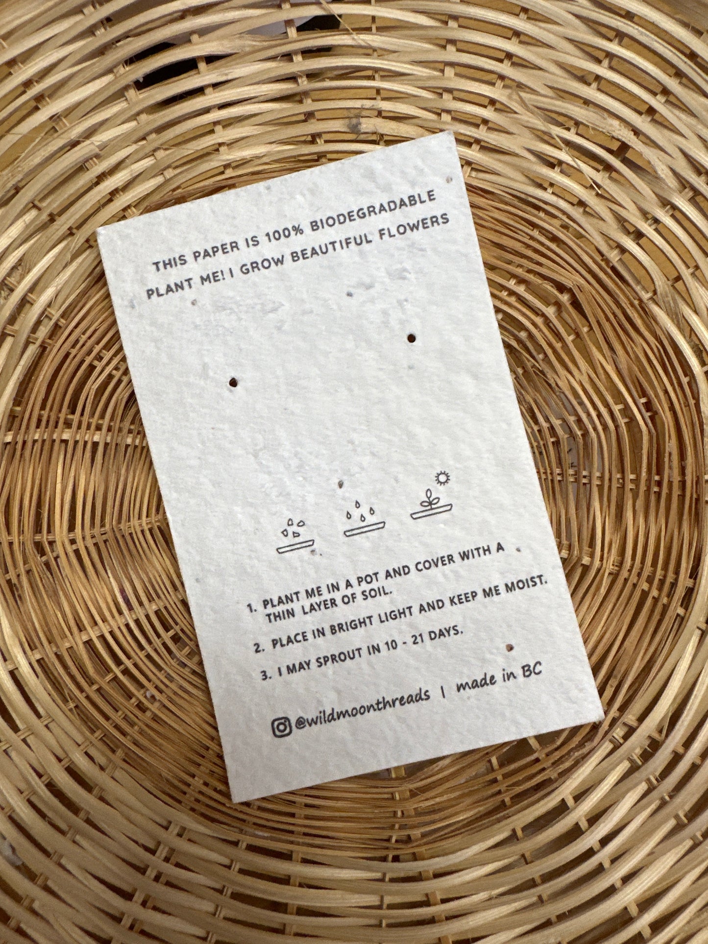 Wildmoon Threads Desert Night Earrings