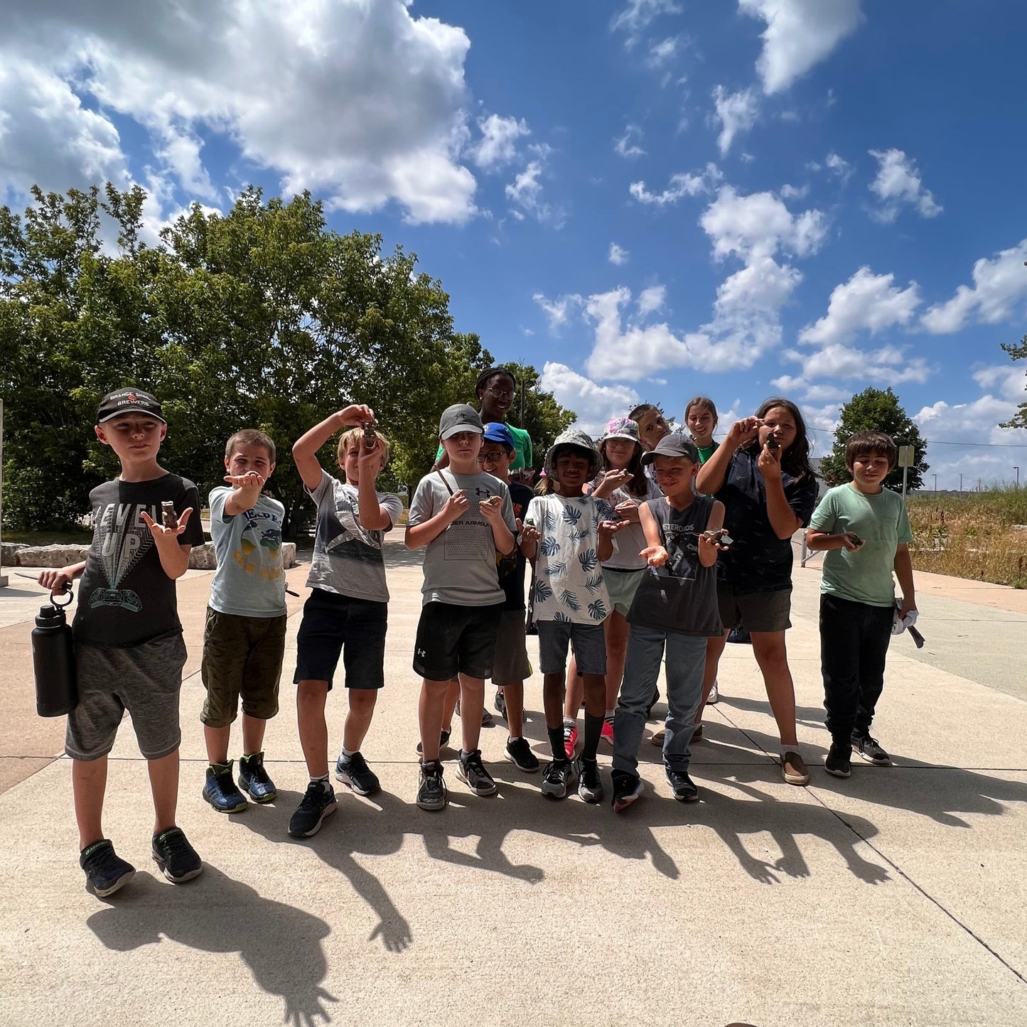 Soapstone Carving Kit - Make 3D Art 🦉🐢🐈 Choose Your Animal