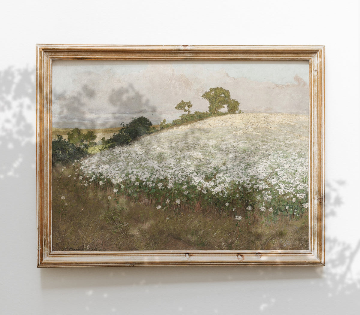 Vintage Floral Fields Landscape Art Print L0215