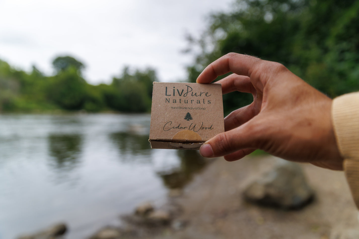 Cedar Wood-Olive Oil Soap | Woodsy Face & Body Bar with Gentle Exfoliation | Organic and Natural Bar Soap