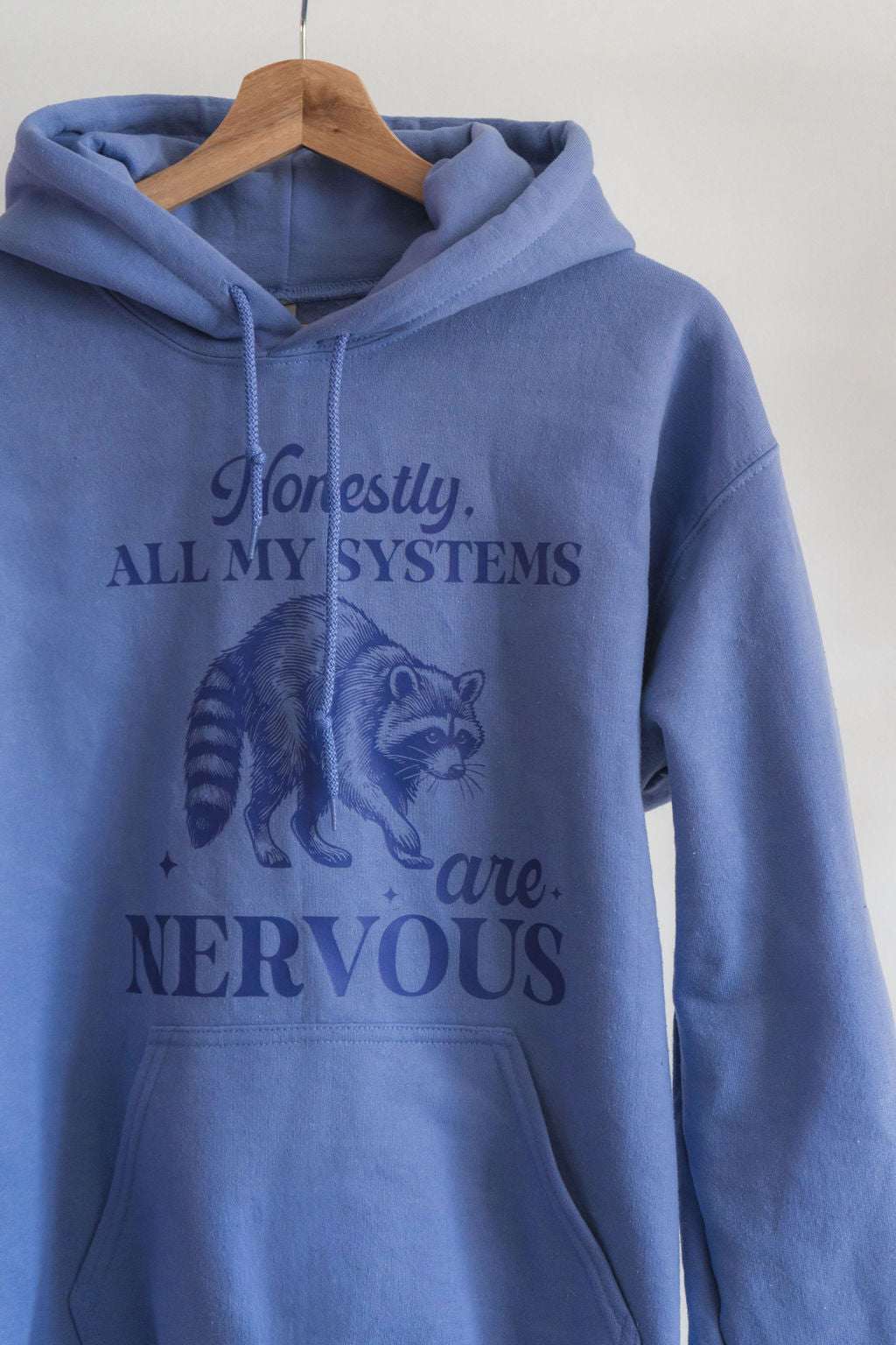 Honestly, All My Systems Are Nervous Raccoon Hoodie