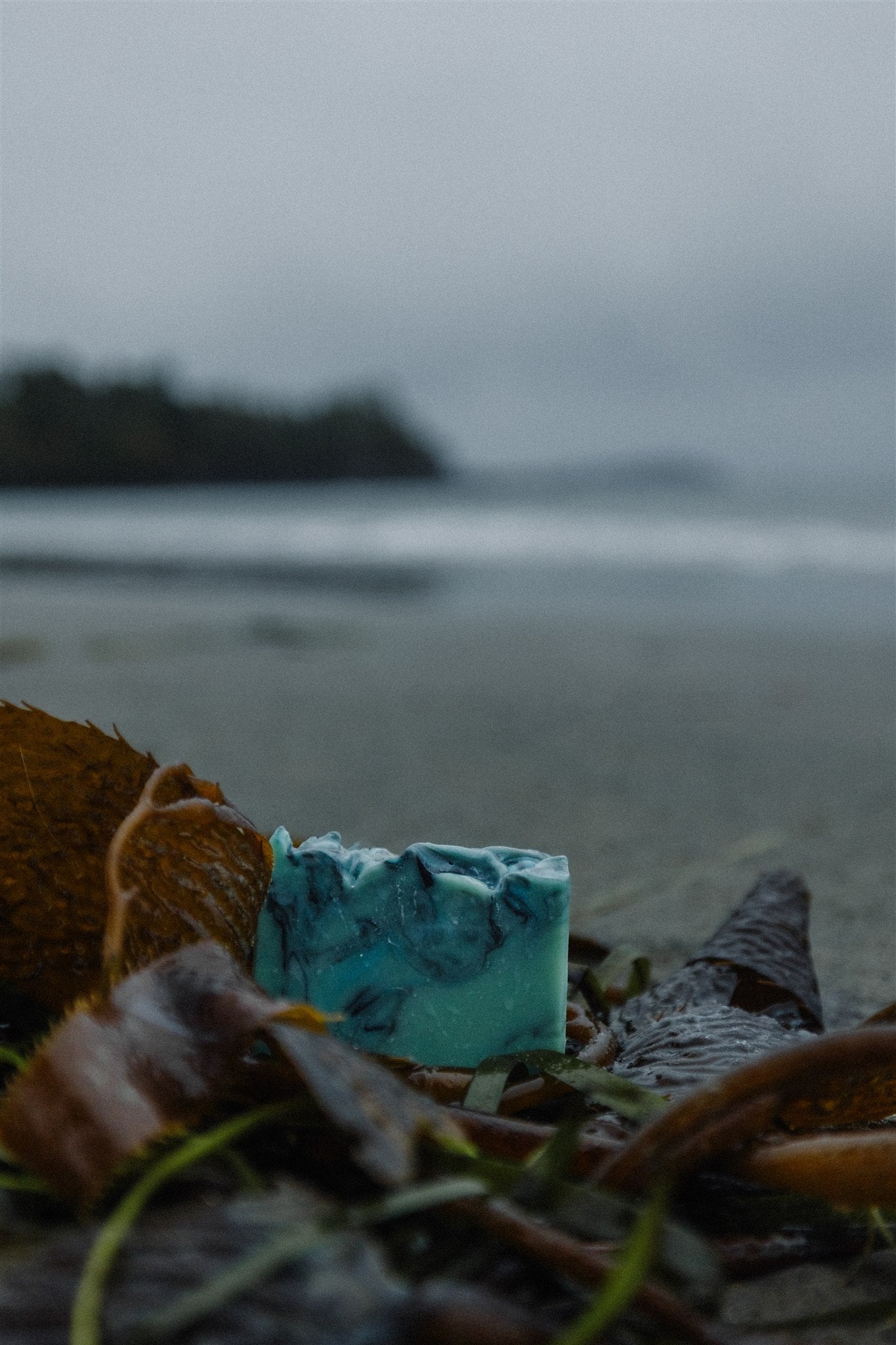 Storm Watching |  Amber + Black Current + Vetiver
