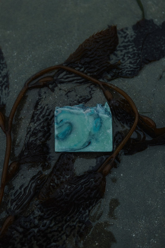 Storm Watching |  Amber + Black Current + Vetiver