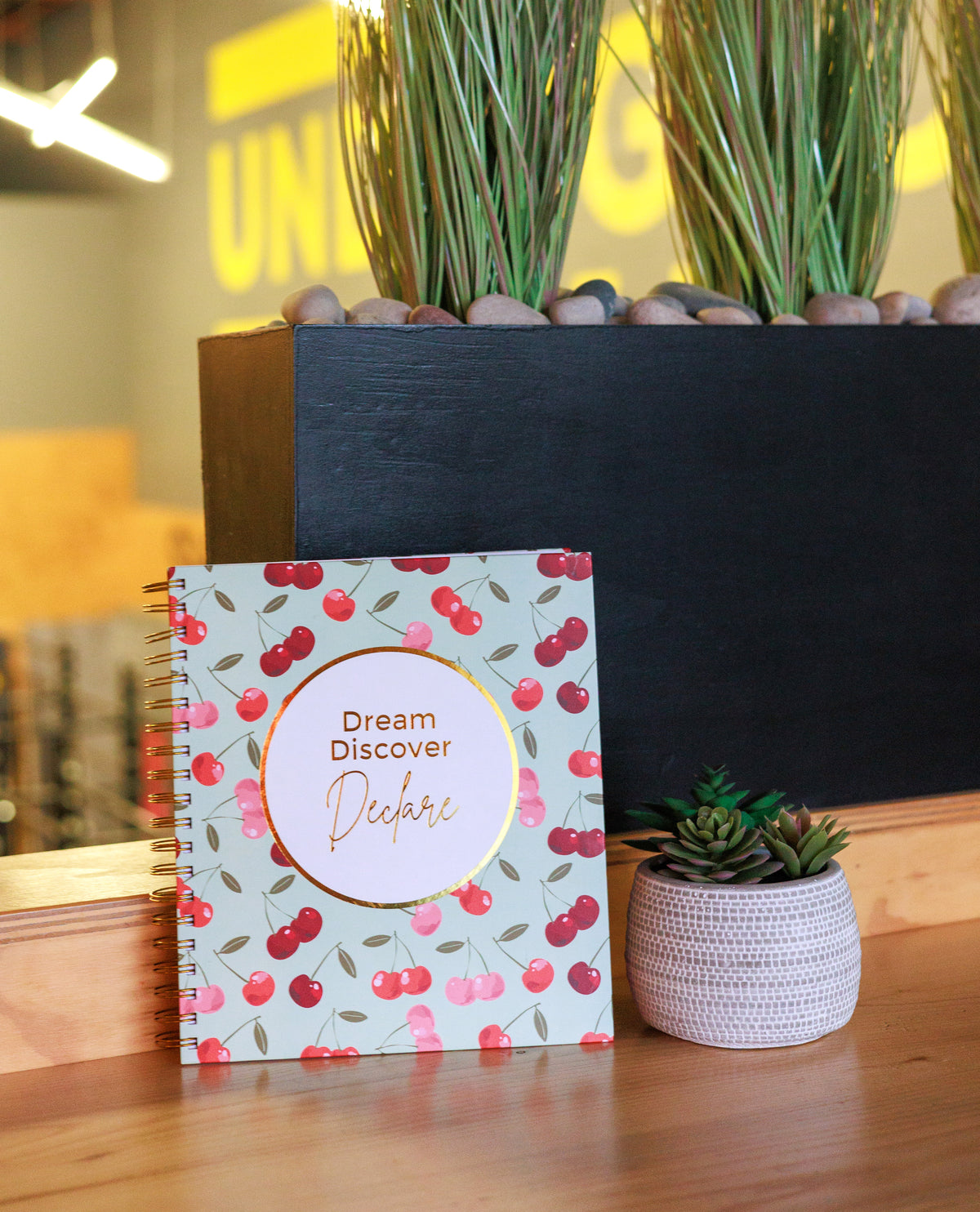Dream, Discover, Declare — Dare to Declare™ Vision Planner