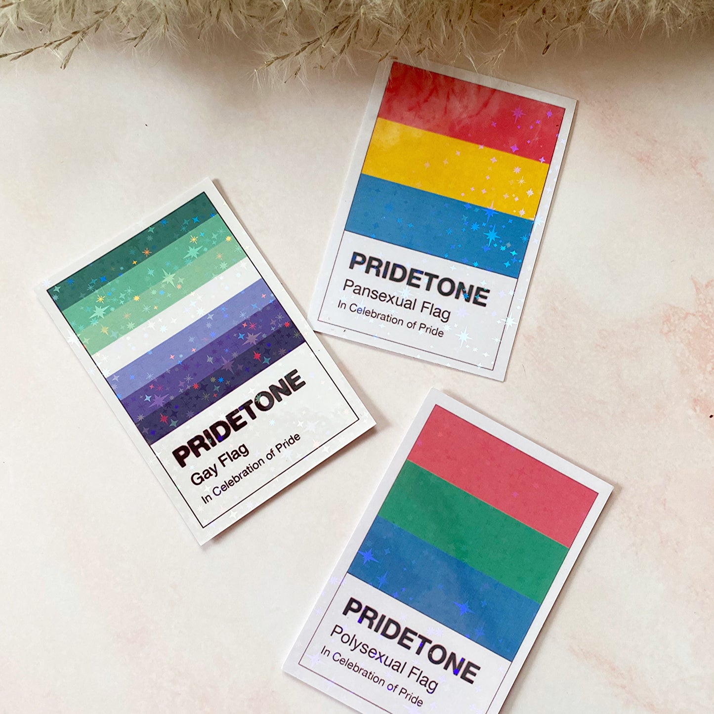 Pridetone Pansexual Flag | Pride Sticker