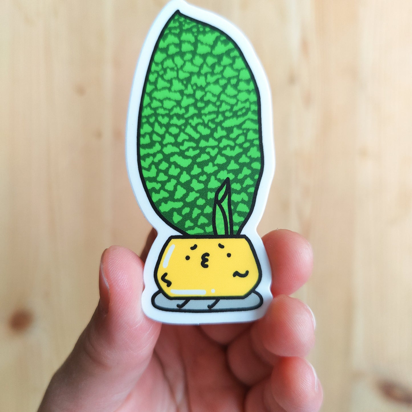 Dracaena Masoniana Vinyl Sticker