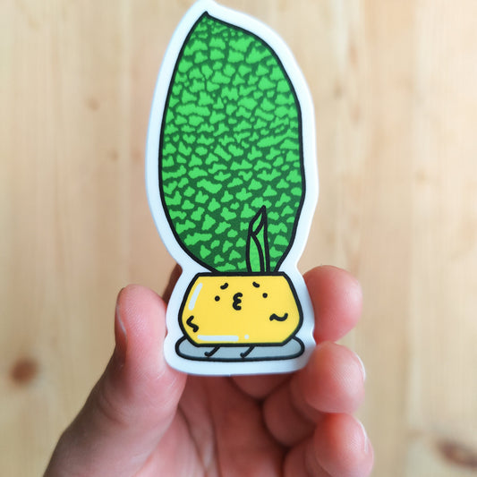 Dracaena Masoniana Vinyl Sticker