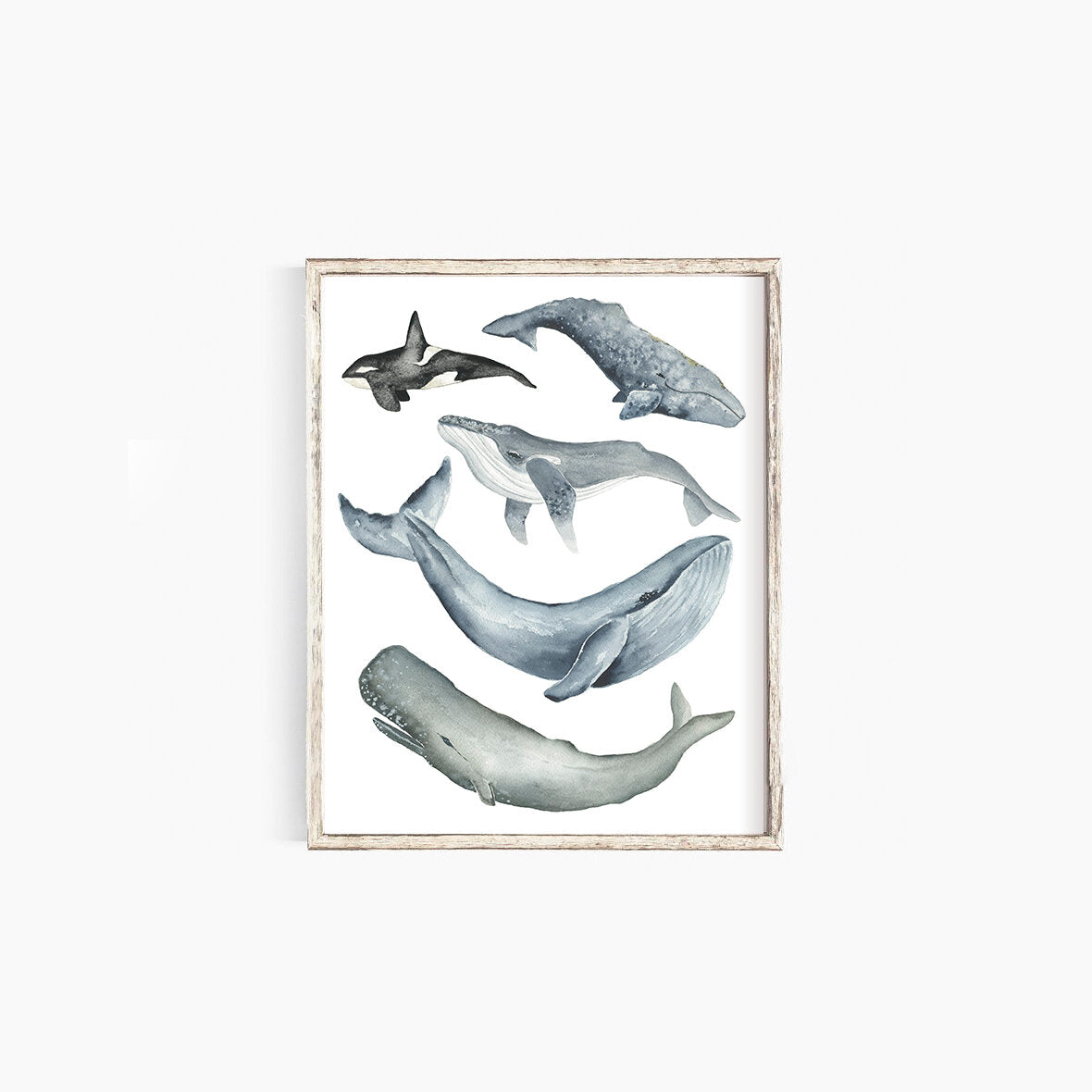 Whales