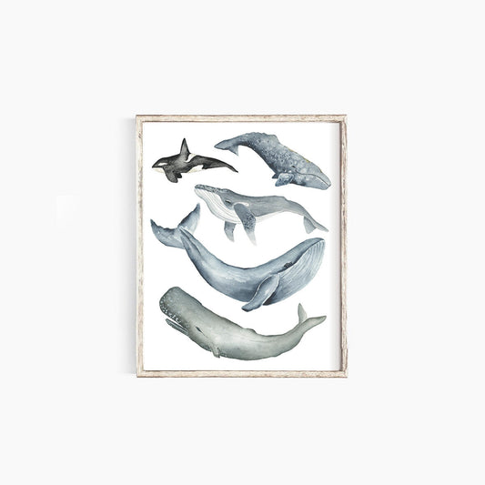 Whales