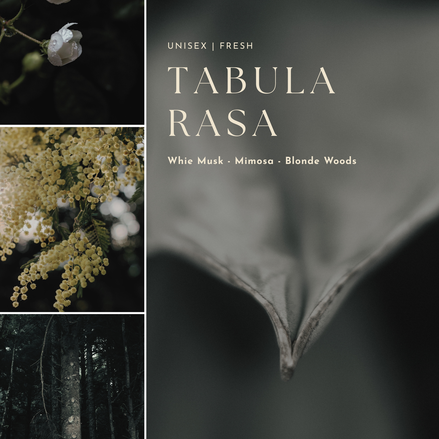 Masculine & Woodsy Candles