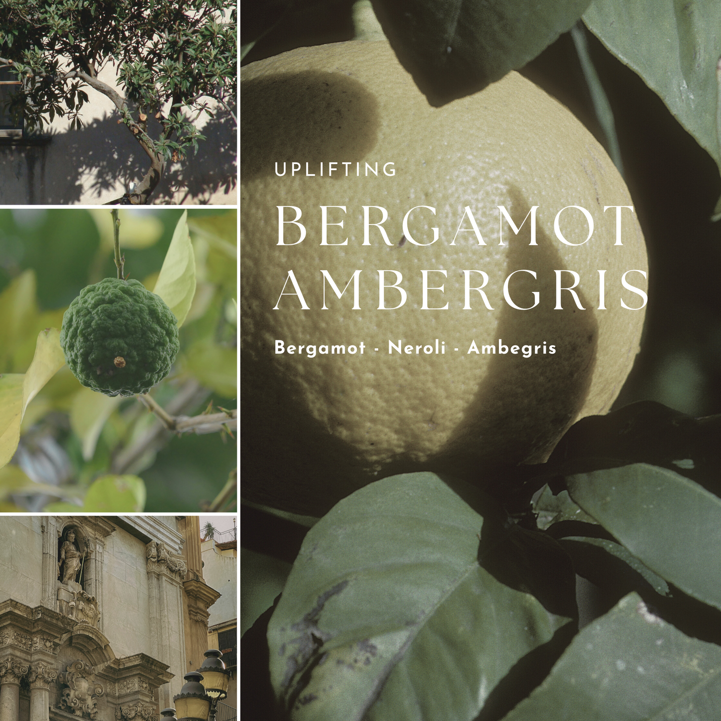 Fresh & Floral Collection Fine Fragrance Mist