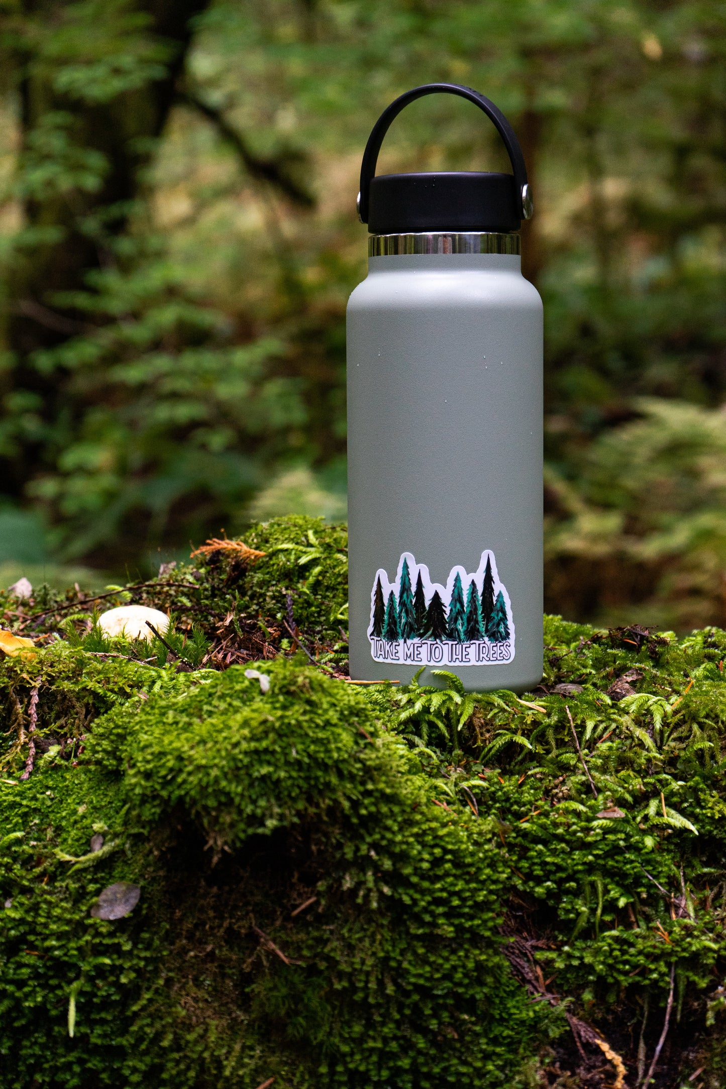 Take Me To The Trees Sticker