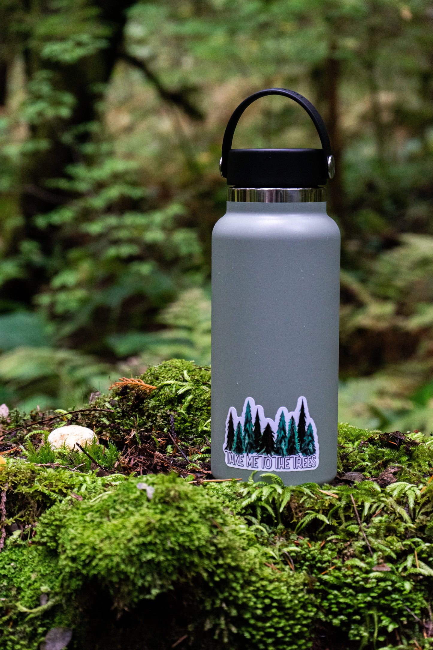 Take Me To The Trees Sticker