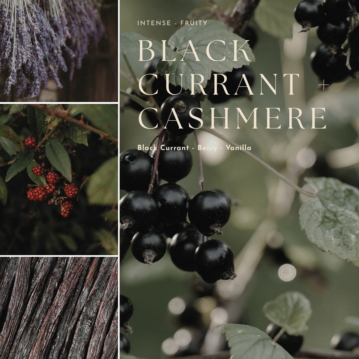 Gourmand, Fruit & Citrus Fragrance Mist