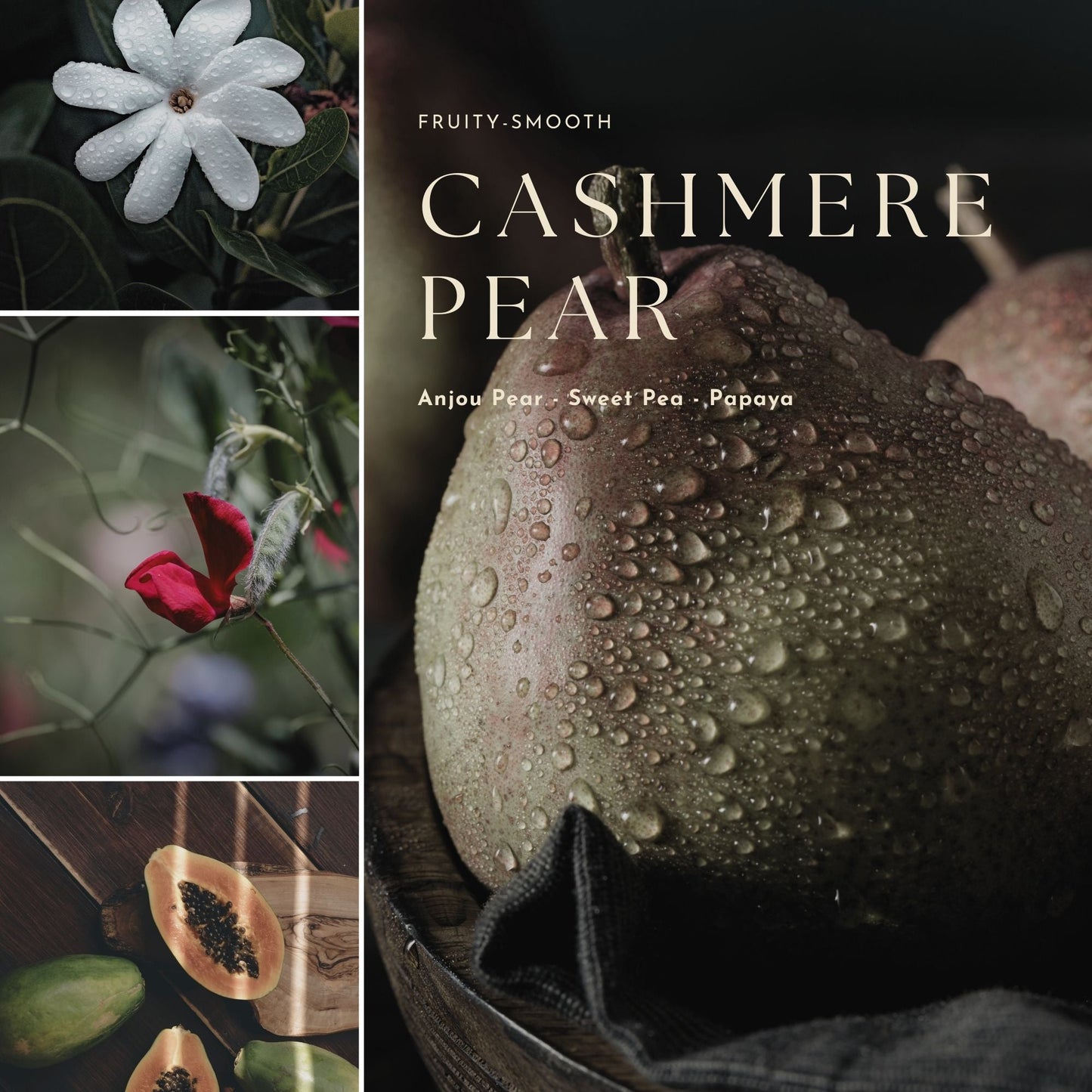 Gourmand, Fruit & Citrus Fragrance Mist