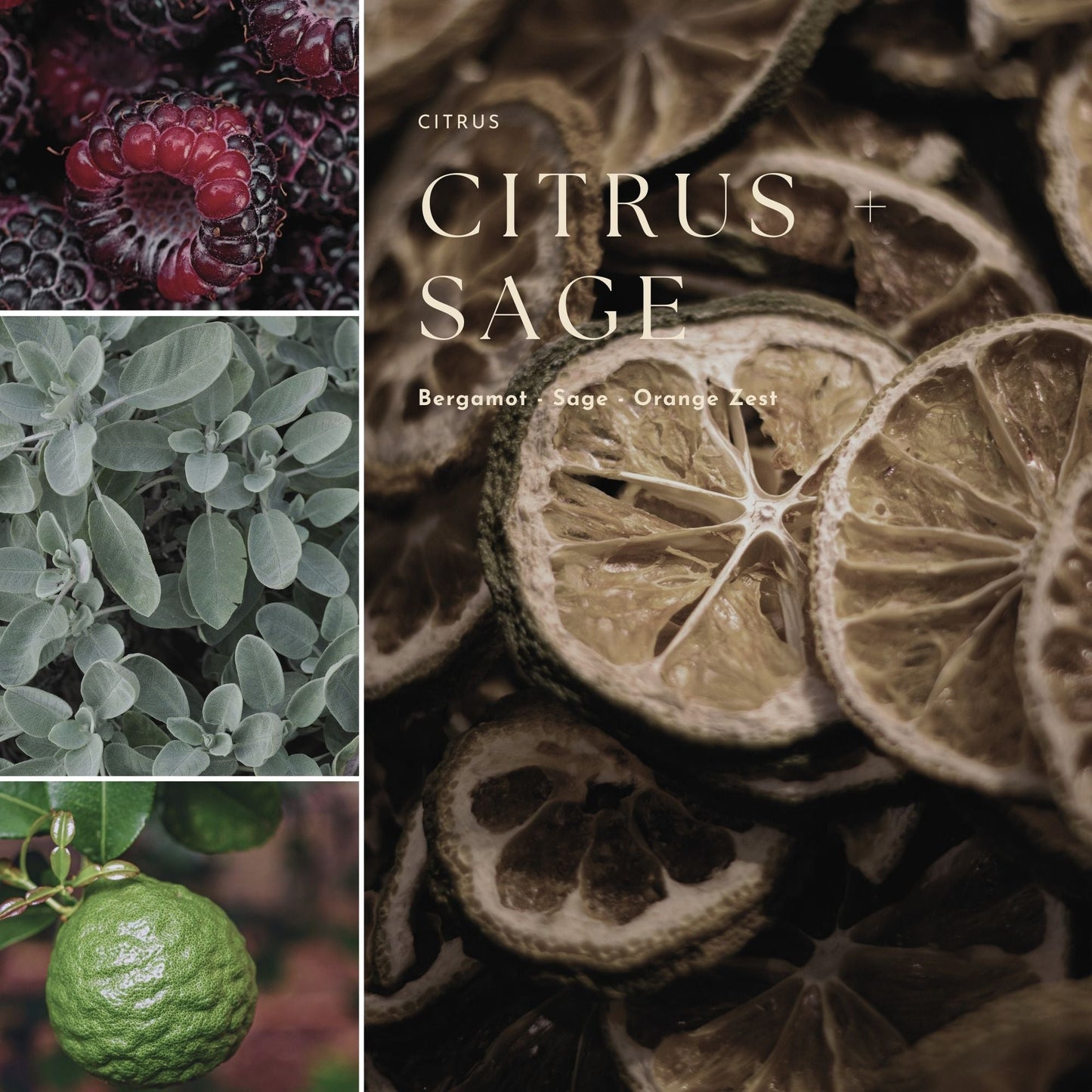 Gourmand, Fruit & Citrus Fragrance Mist