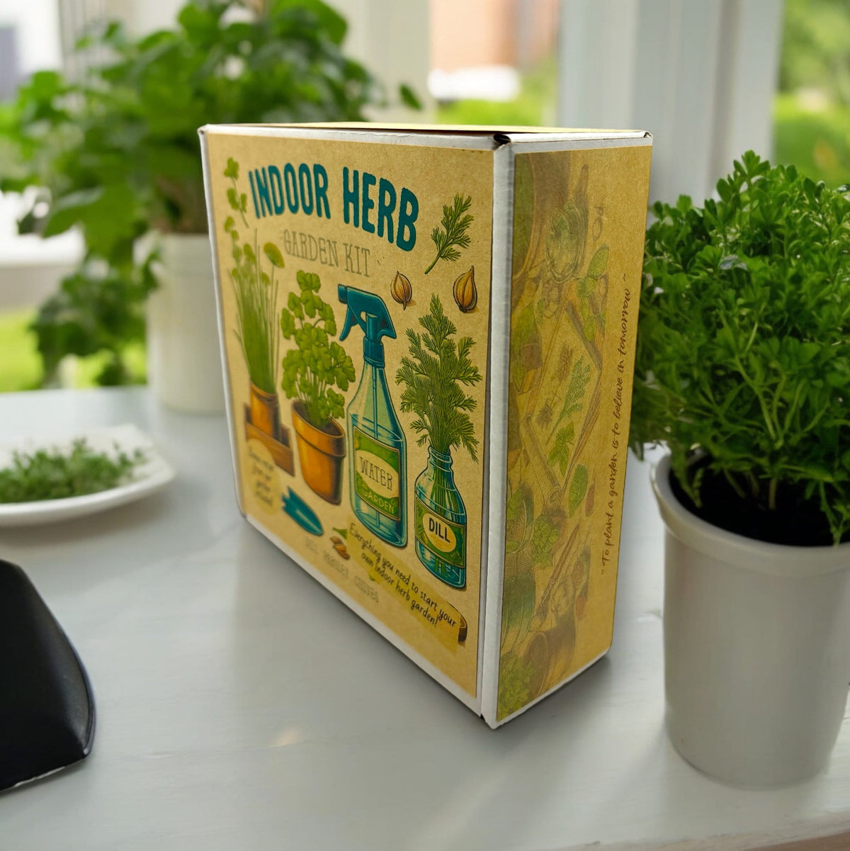 Indoor Herb Garden Starter Kit - Spring Planting - Parsley, Chives & Dill Seeds
