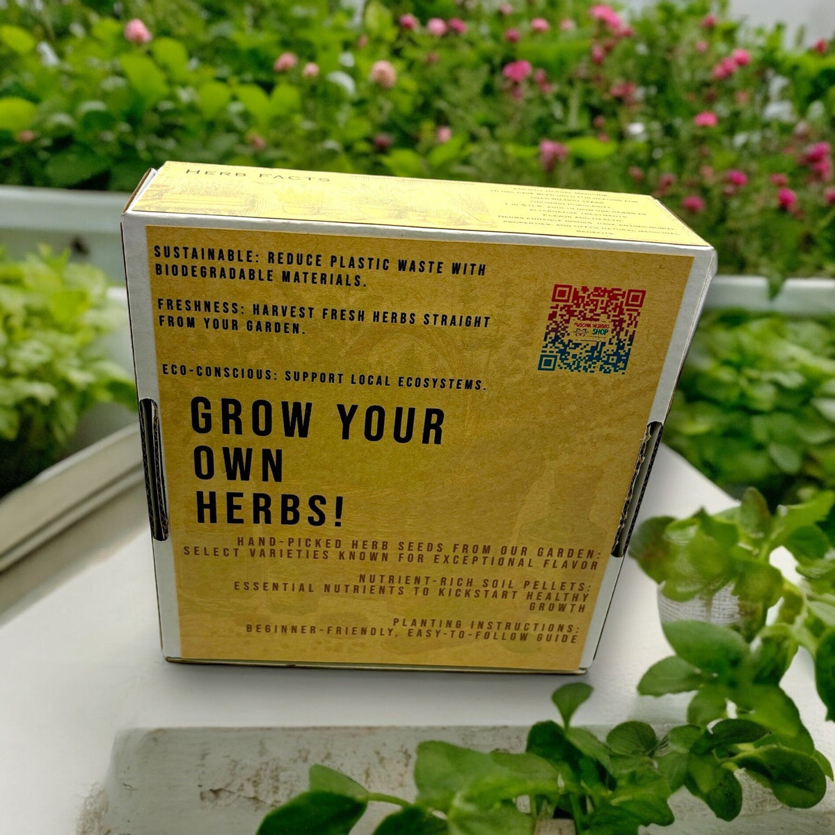 Indoor Herb Garden Starter Kit - Spring Planting - Parsley, Chives & Dill Seeds
