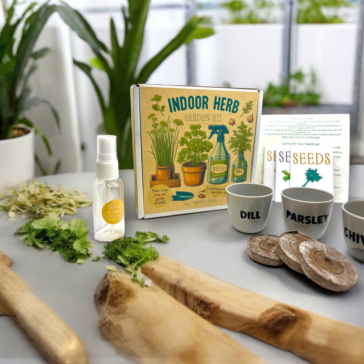 Indoor Herb Garden Starter Kit - Spring Planting - Parsley, Chives & Dill Seeds