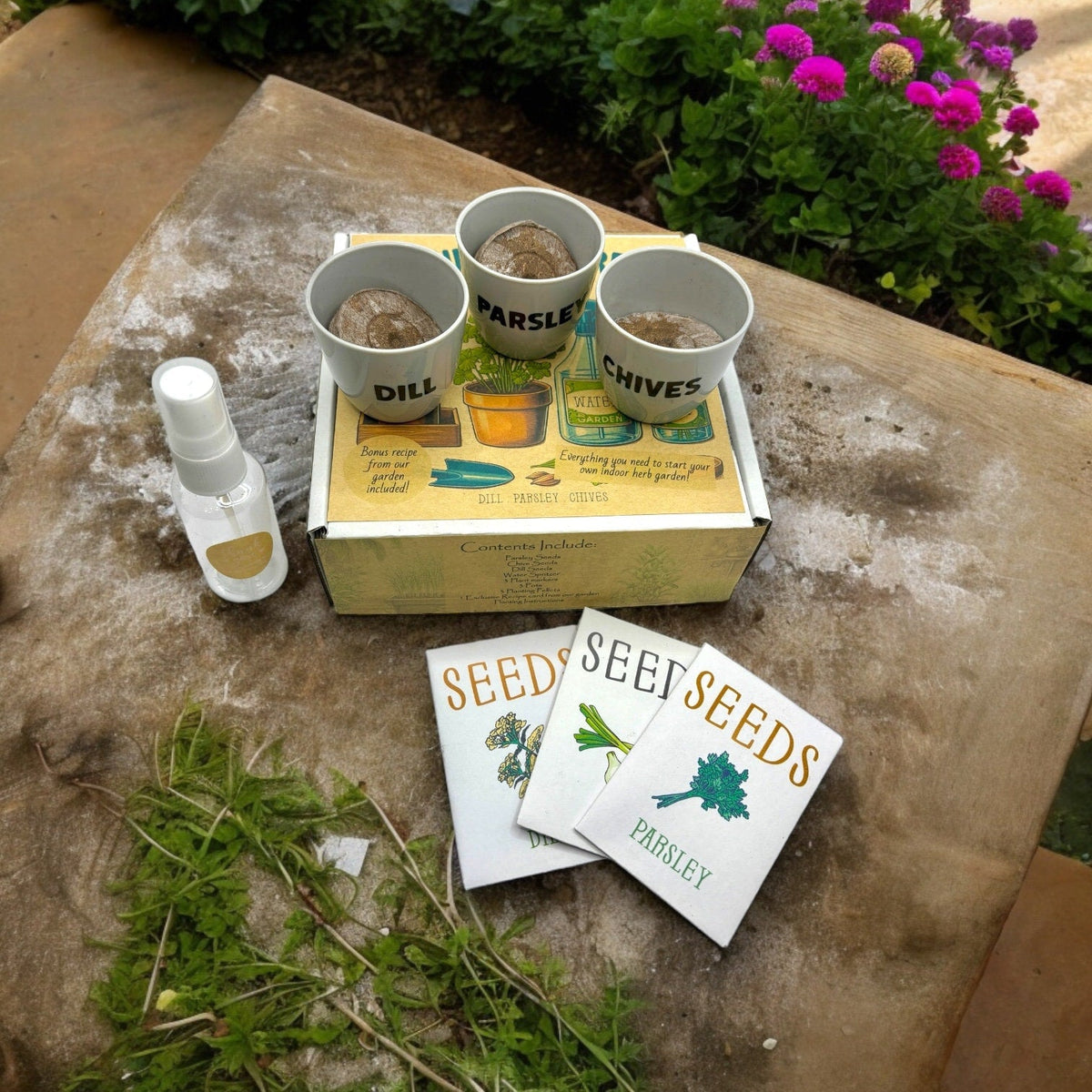 Indoor Herb Garden Starter Kit - Spring Planting - Parsley, Chives & Dill Seeds