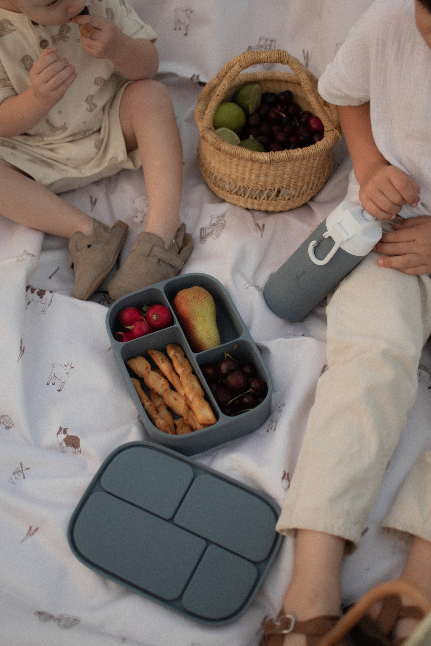 Boîte à lunch bento en silicone | 4 compartiments