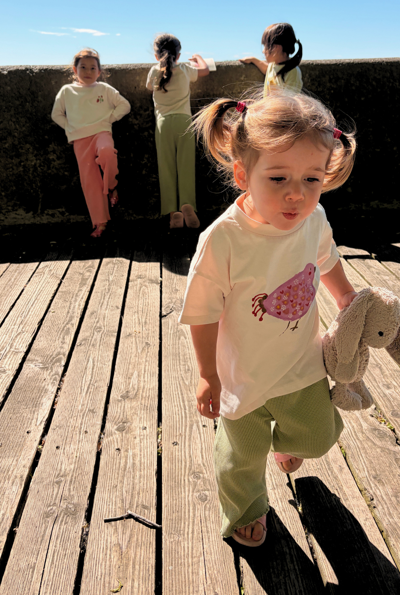 The Bird Tee - PETAL PINK