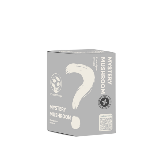 Mystery Mushroom Kit