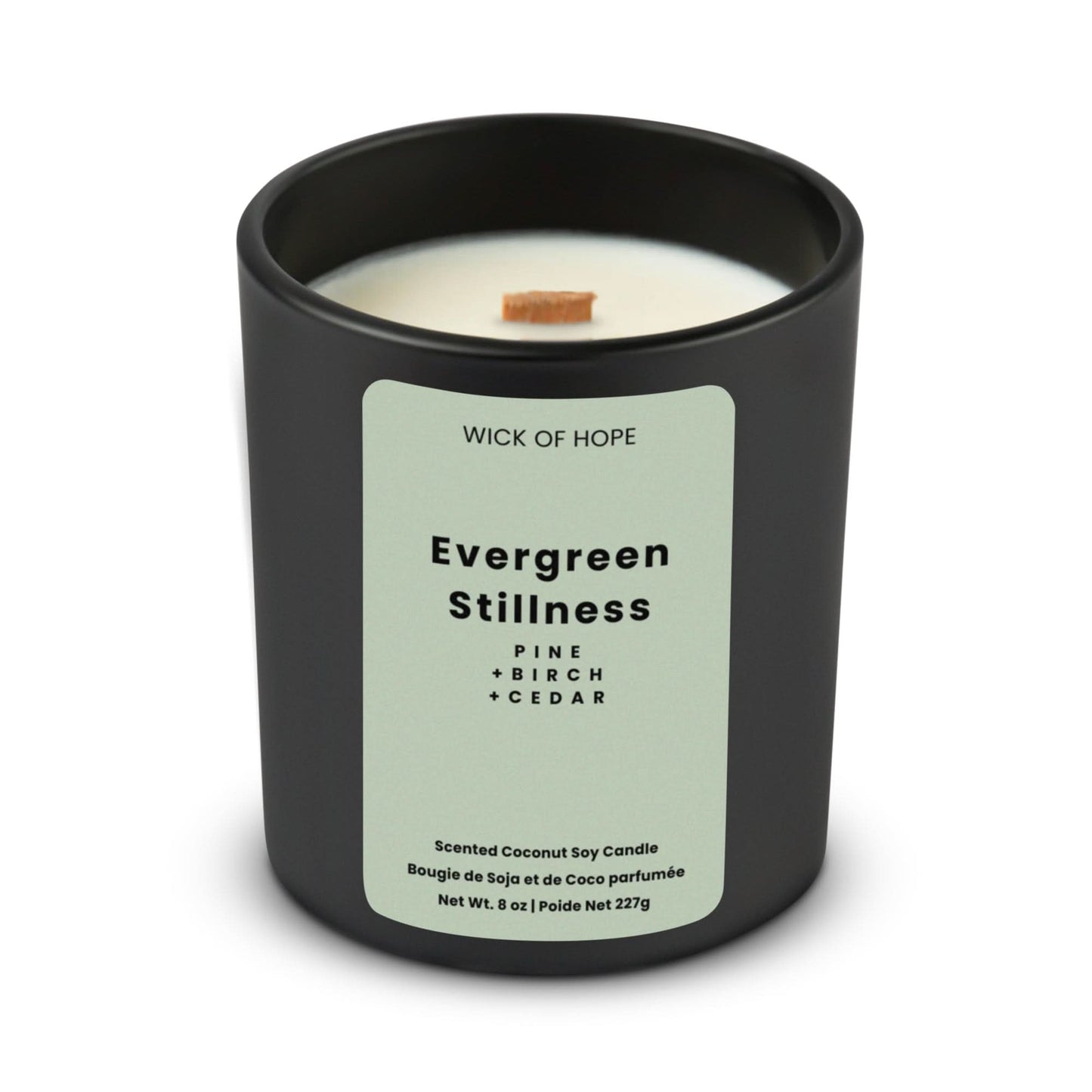 Evergreen Stillness Candle | Pine + Cedar