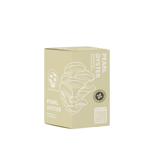 Pearl Oyster Mushroom Kit