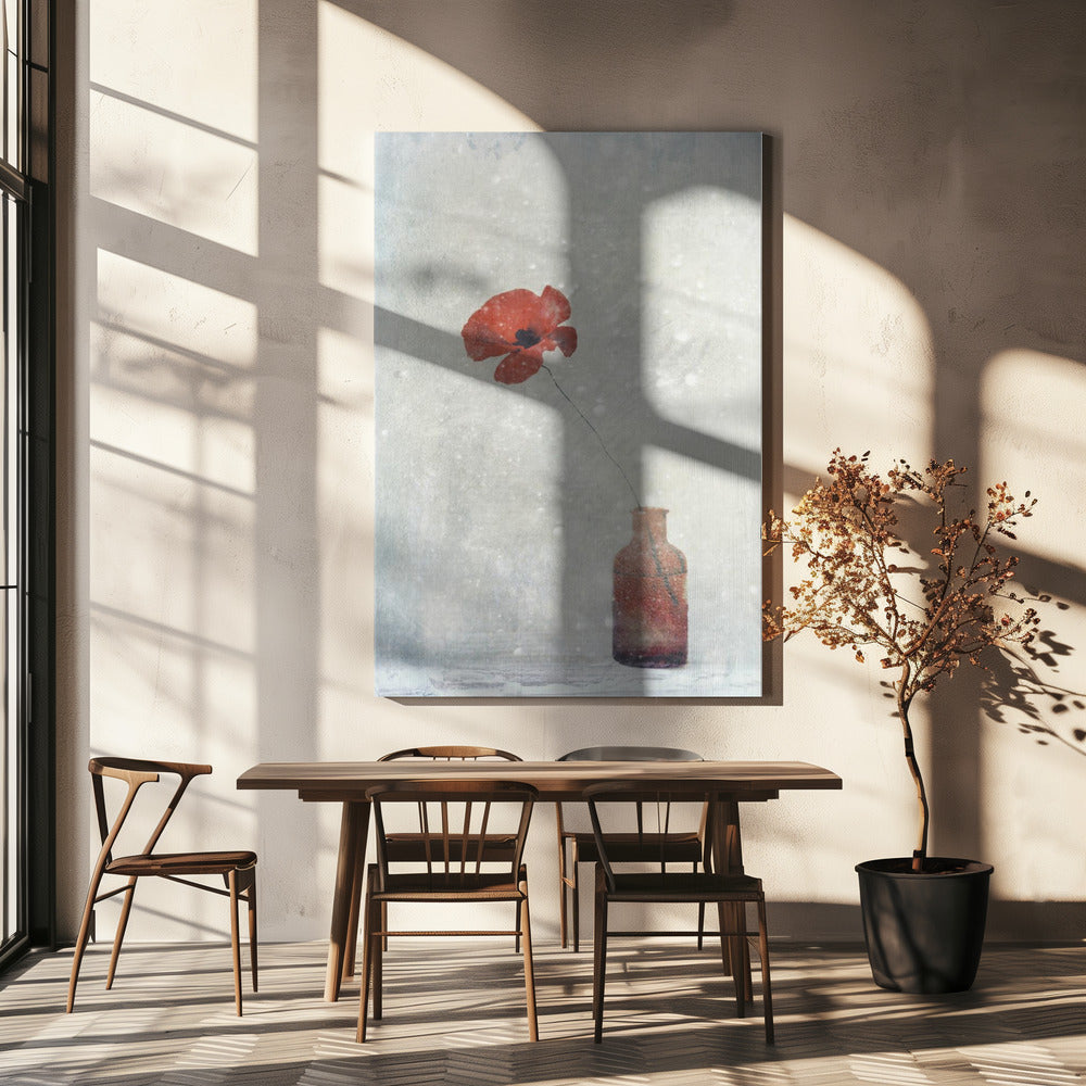 wall art Winter Poppy