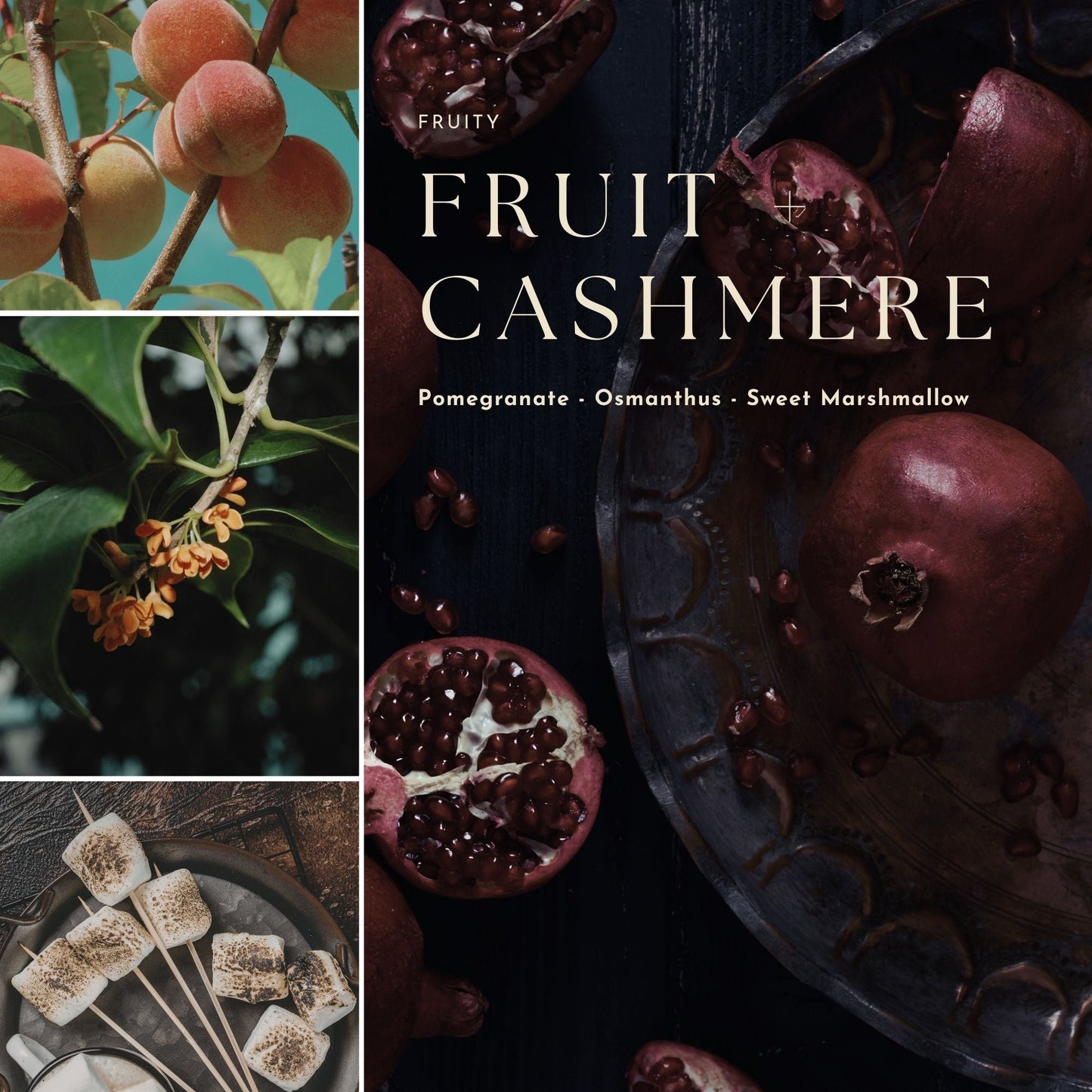 Gourmand, Fruit & Citrus Fragrance Mist