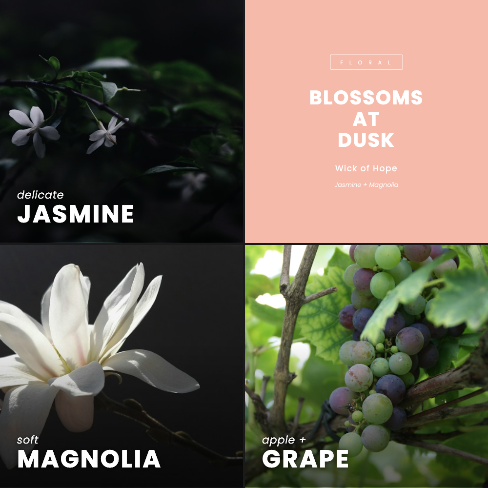 Blossoms at Dusk Candle | Jasmine + Magnolia